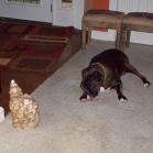 042 - Evo 25-05-2013