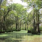 031 - This is an easy place to get lost in...