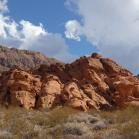 203 Mojave Desert Troll