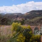 096 Sagebrush and Prickley Pear.