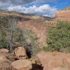 099 Same as prevoius photo