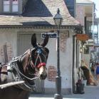 051 - Outside our guest house