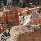 180 Bryce Canyon National Park