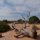 032 Arches National Park Utah