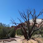 154 Kodachrome Basin State Park