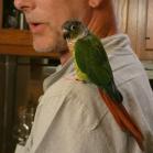 124 - Just before he goes for my throat