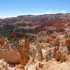 181 Bryce Canyon National Park