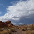 201 Mojave Desert Rainstorm