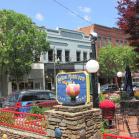 045 - Mellow Mushroom, Asheville, NC 22-05-16