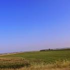 026 - Still travelling through Minnesota. This is all you can see for mile after mile