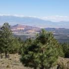 131 Larb Hollow Overlook