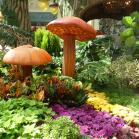 216 The  Bellagio Hotel