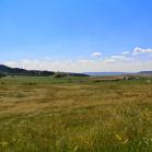 079 - Huge praries with Buffalo, Deer, Horses, Cattle, Elk, Prarie dogs, etc. etc