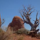 041 Arches National Park Utah