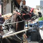 050 - Typical Bourbon St. sight