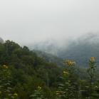 076 - This is why they are called the Smokies