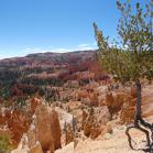 185 Bryce Canyon National Park