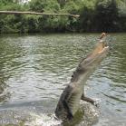 023 - Perfectly snapped...