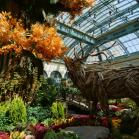 215 The  Bellagio Hotel