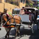 047 - New Orleans cab