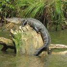 026 - Perfectly posed