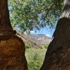 128 Capitol Reef National Park