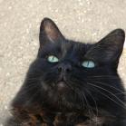 125 - Please feed me