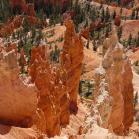 183 Bryce Canyon National Park