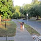 085 - Carrie the Dog Whisperer 23-09-2015