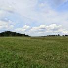 143 - Kentucky wild meadows