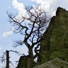 119 - Just about holding on to life...