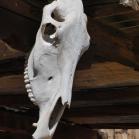 197 Little Hollywood Kanab