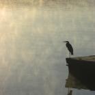 076 - Morning stroll - Land Between The Lakes 22-09-2015