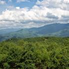 060 - The Smokies betwean North Carolina and Tennessee 27-05-2013