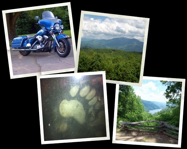 Go here for photos of our trip
